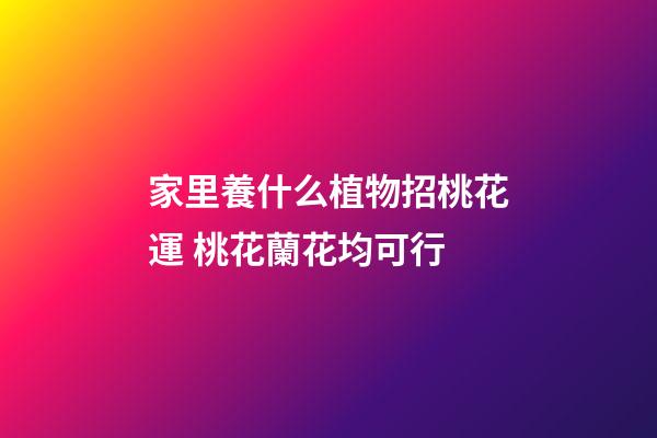 家里養什么植物招桃花運 桃花蘭花均可行